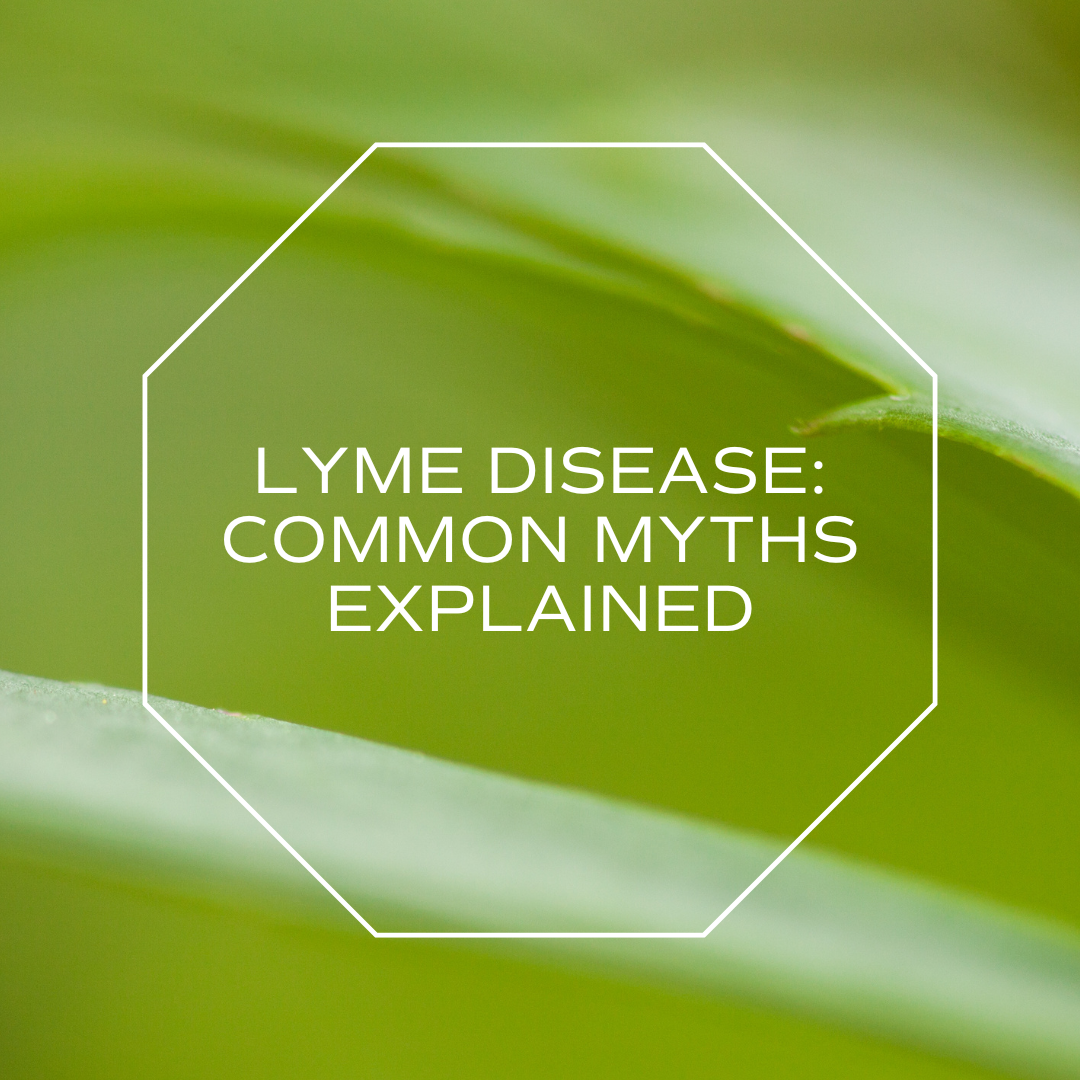 Lyme Disease Myths: Separating Fact from Fiction