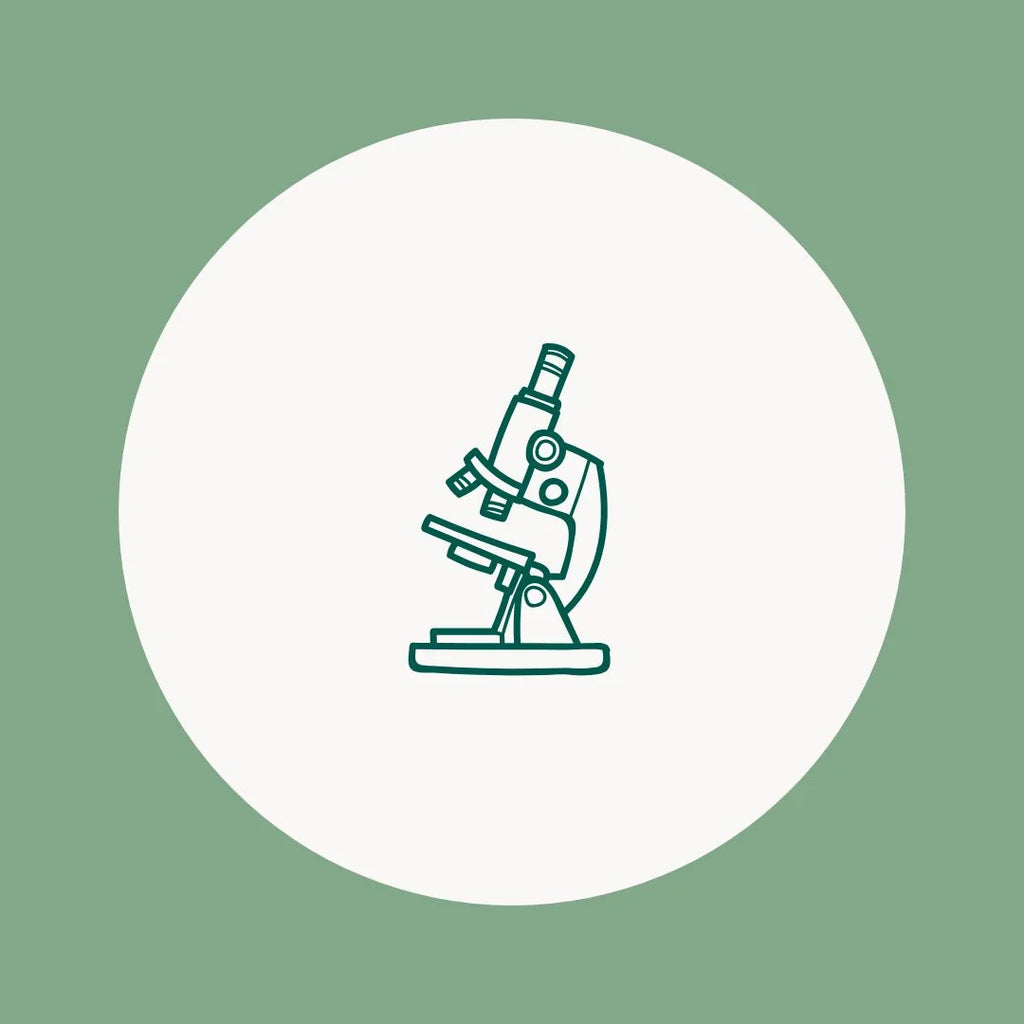 Viral protocol diagram - Lyme disease treatment support system